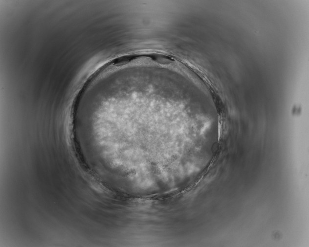 X0000102280339200808221309
