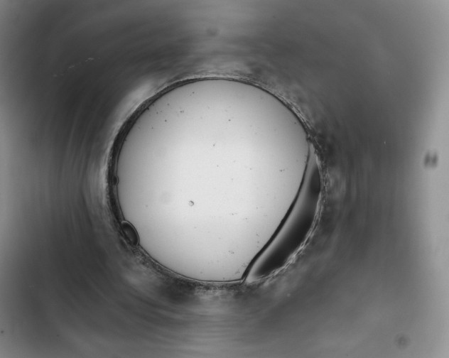 X0000102280340200808221309