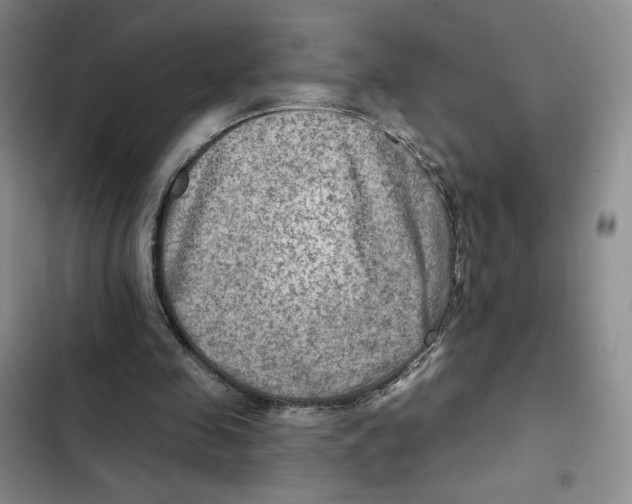 X0000102280341200808221309