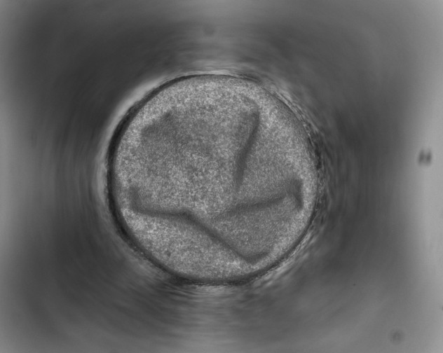 X0000102280342200808221309