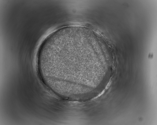 X0000102280343200808221309