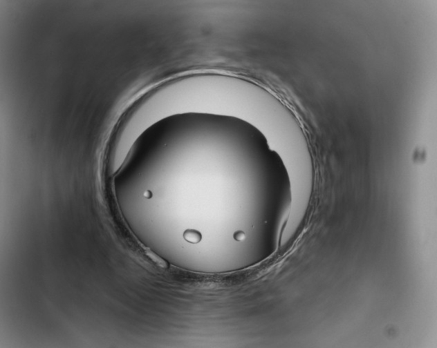 X0000102280344200808221309