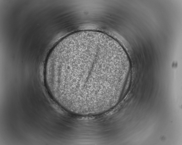 X0000102280345200808221309