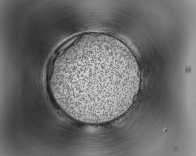 X0000102280346200808221309