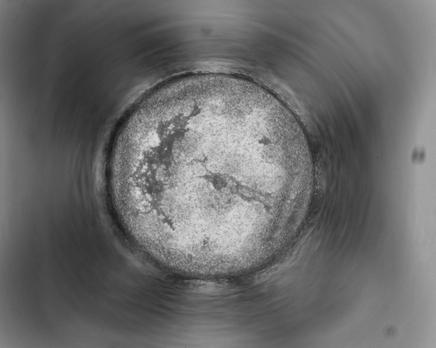 X0000102280347200808221309
