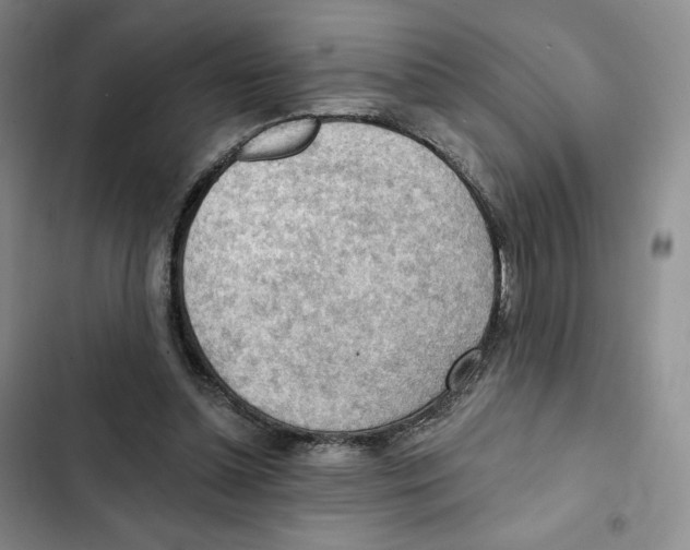 X0000102280348200808221309
