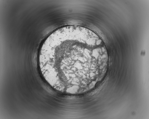 X0000102280349200808221310