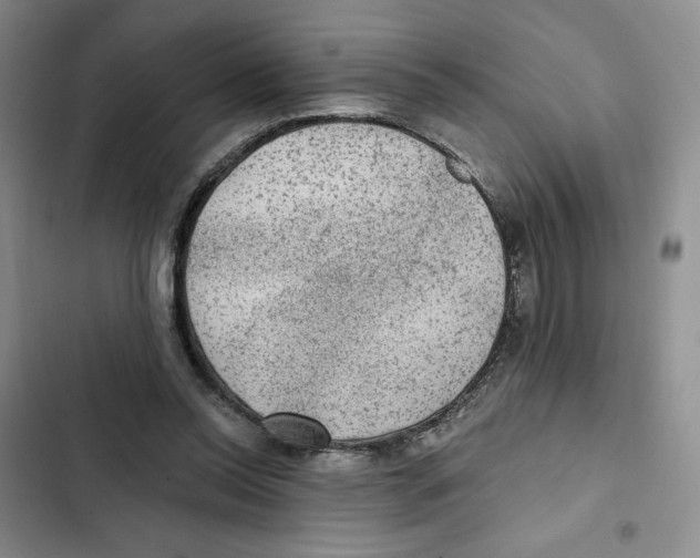 X0000102280350200808221310