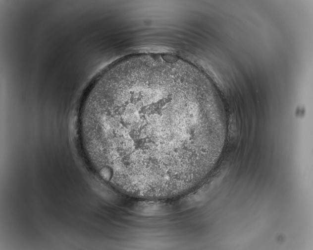 X0000102280351200808221310