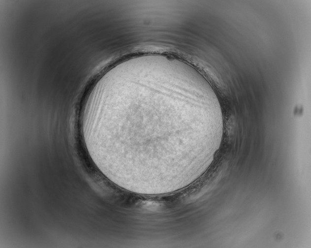 X0000102280352200808221310
