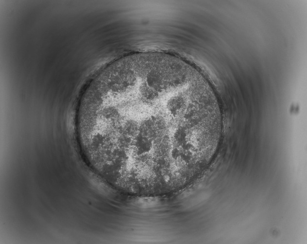 X0000102280353200808221310
