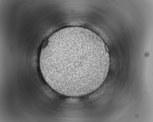 X0000102280354200808221310
