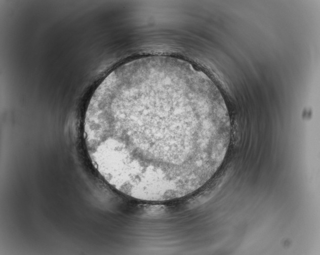 X0000102280355200808221310
