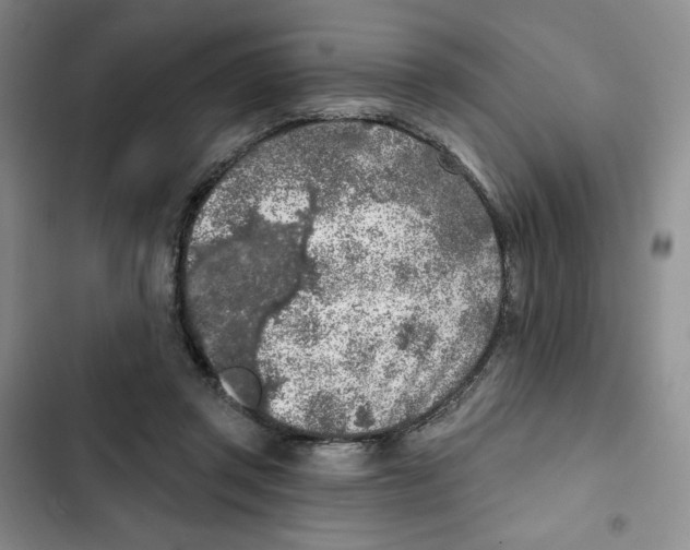 X0000102280357200808221310