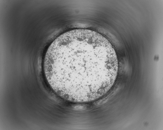 X0000102280358200808221310