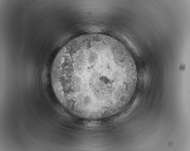 X0000102280359200808221310