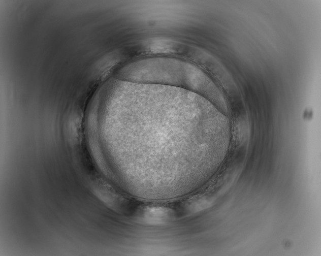 X0000102280360200808221310
