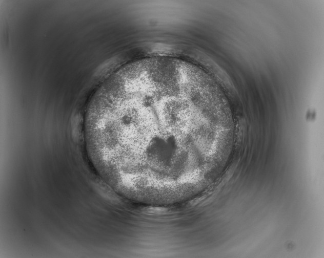 X0000102280361200808221310