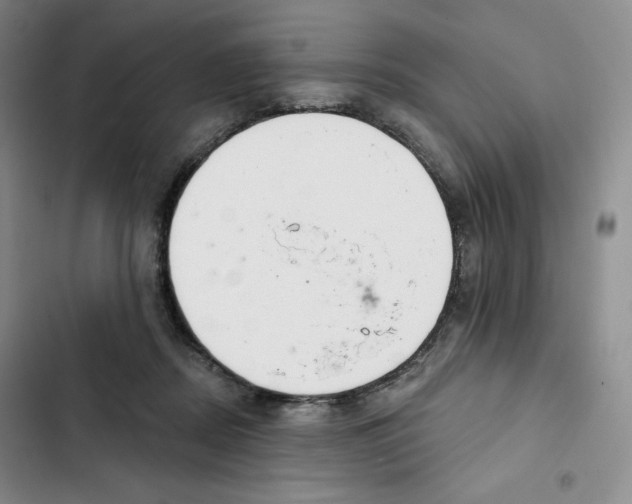 X0000102280362200808221310