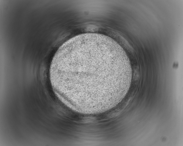 X0000102280363200808221310