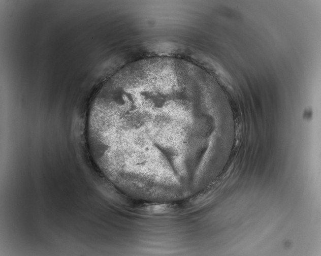 X0000102280365200808221310