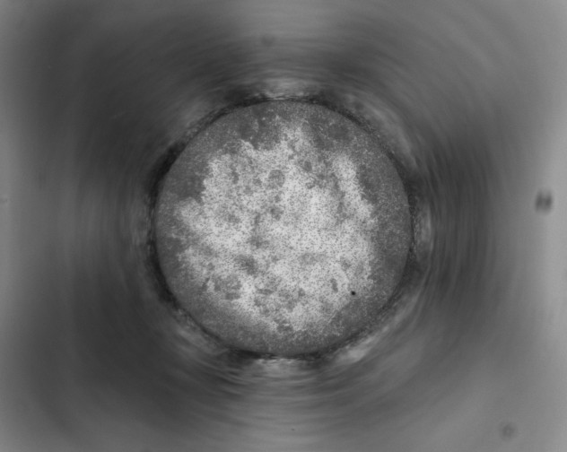 X0000102280367200808221310