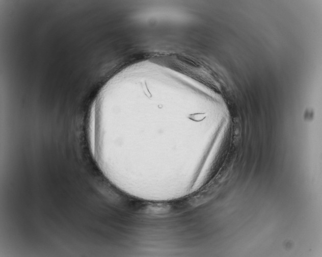 X0000102280369200808221310