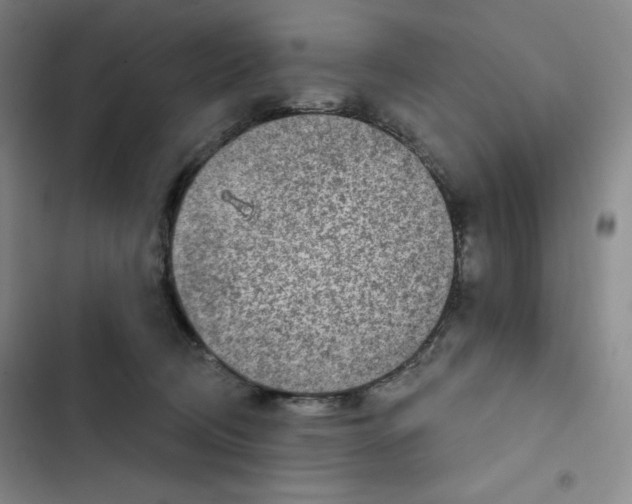 X0000102280370200808221310
