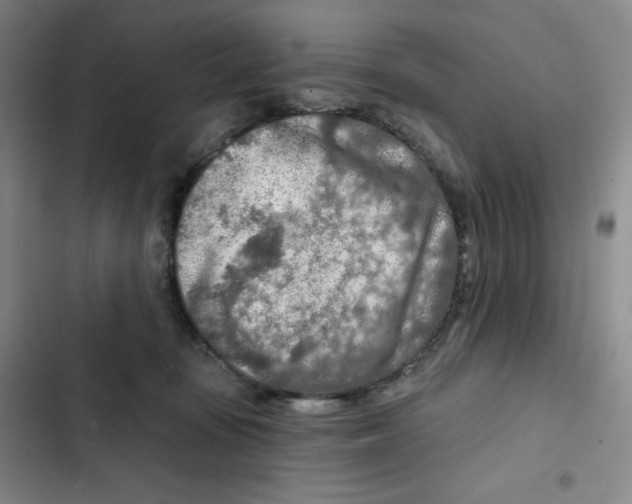 X0000102280371200808221310