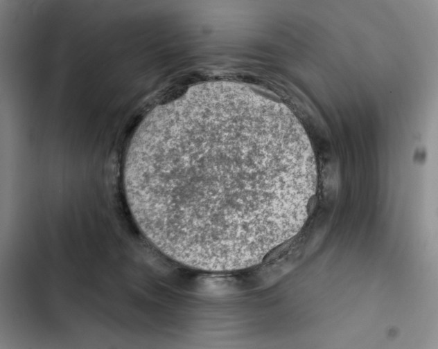 X0000102280372200808221310