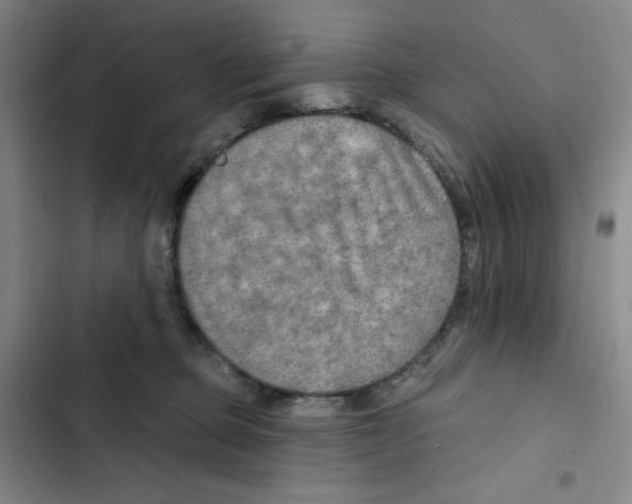 X0000102280373200808221310