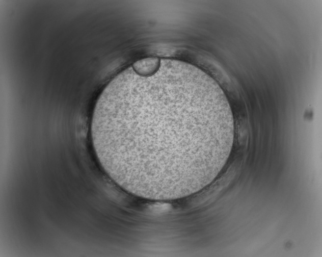 X0000102280374200808221310