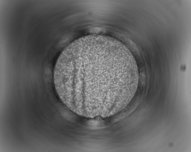 X0000102280375200808221310