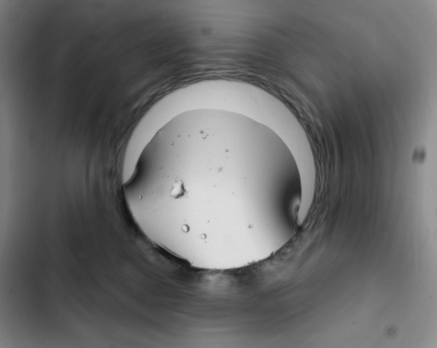 X0000102280376200808221310