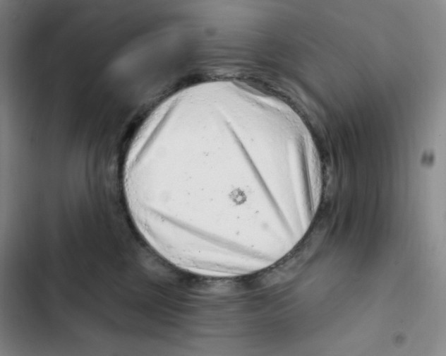 X0000102280377200808221310