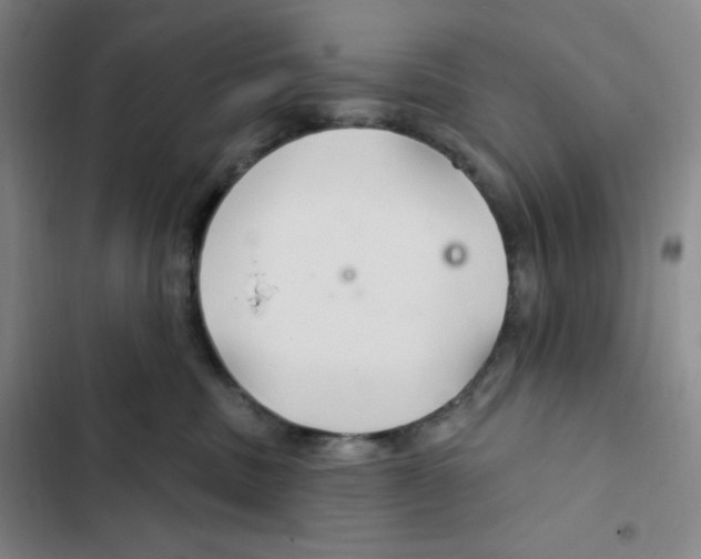 X0000102280379200808221310