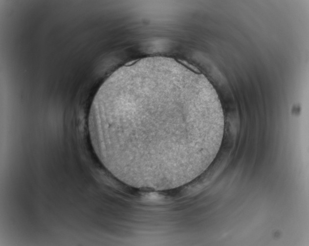 X0000102280380200808221310