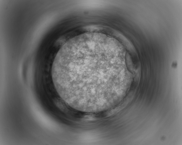 X0000102280381200808221310