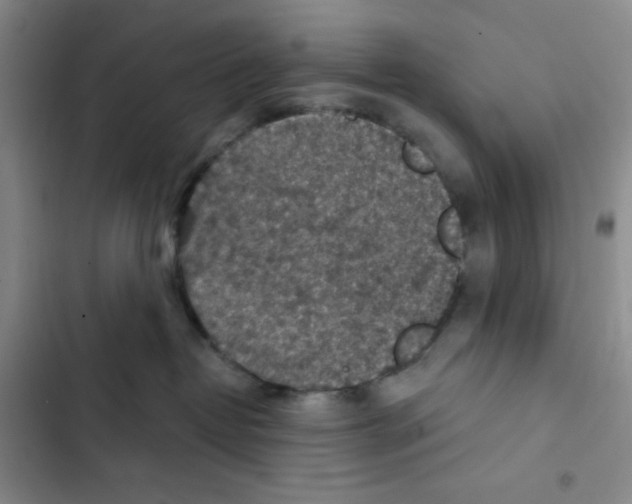 X0000102280382200808221310