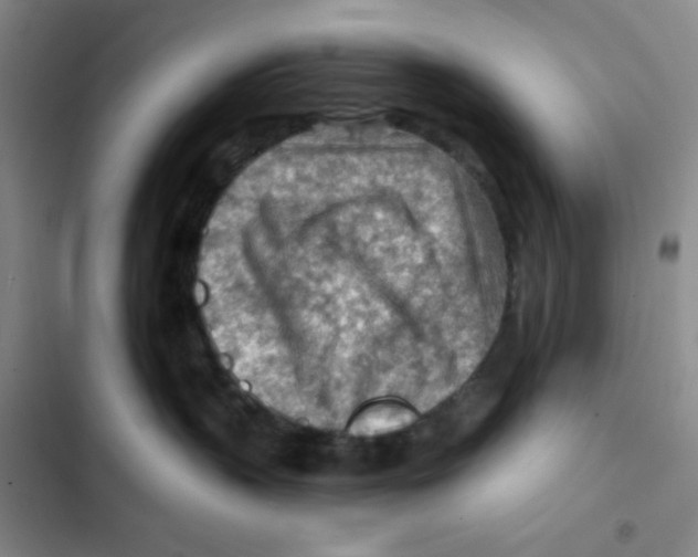X0000102280383200808221310