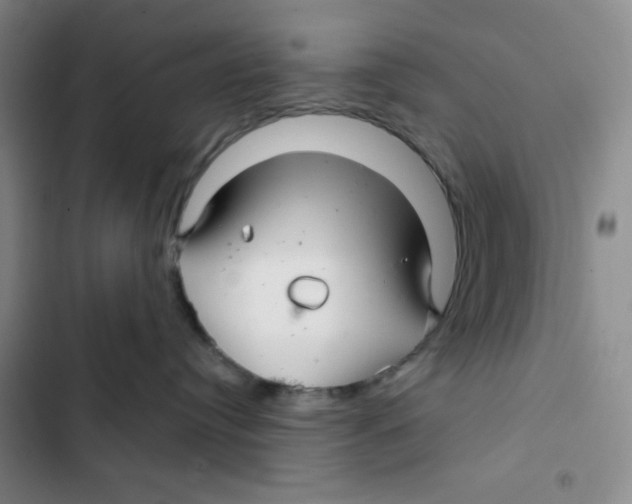 X0000102280384200808221310