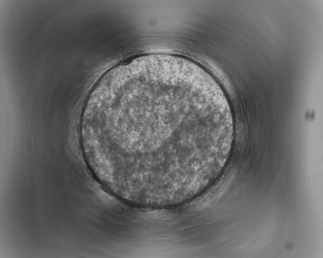 X0000102280385200808221309