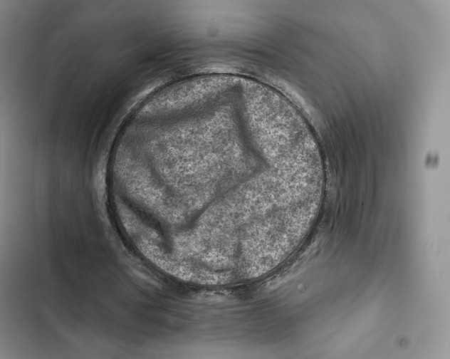 X0000102280386200808221309