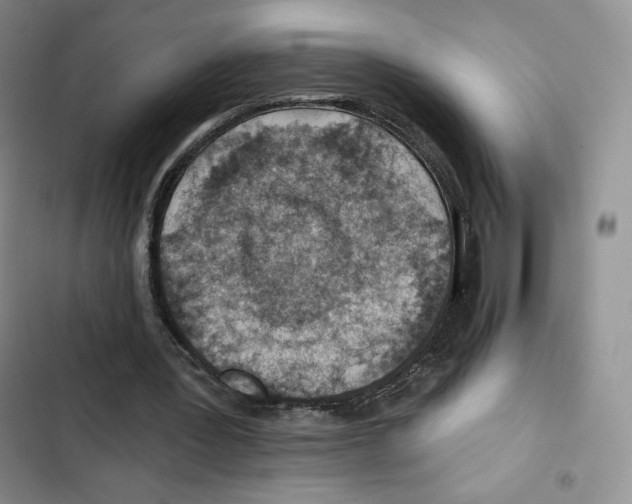 X0000102280387200808221309