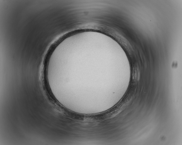 X0000102280388200808221309