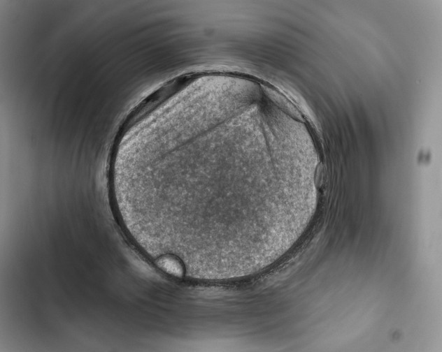 X0000102280389200808221309