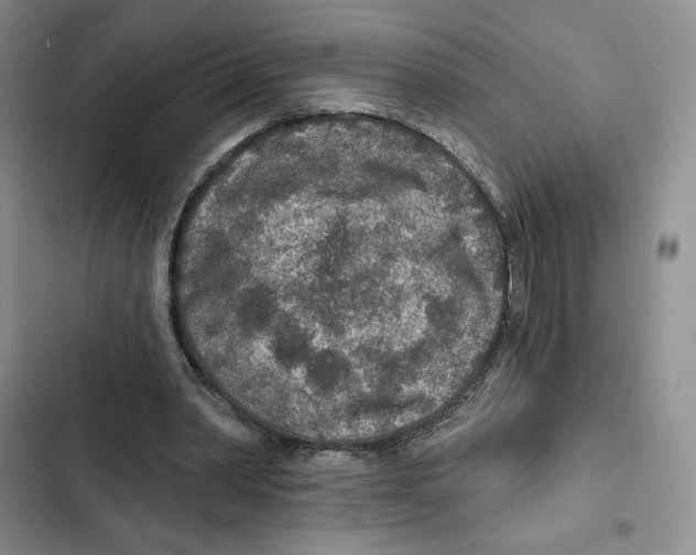 X0000102280390200808221309