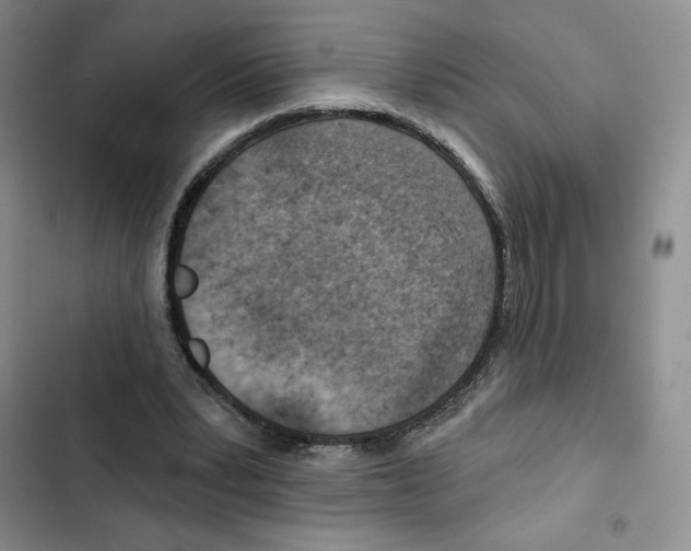 X0000102280391200808221309