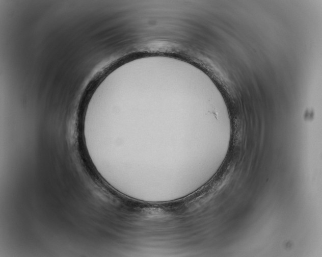 X0000102280392200808221309
