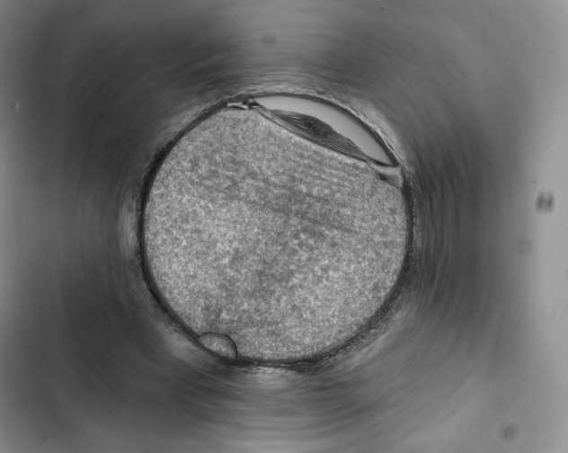 X0000102280393200808221309